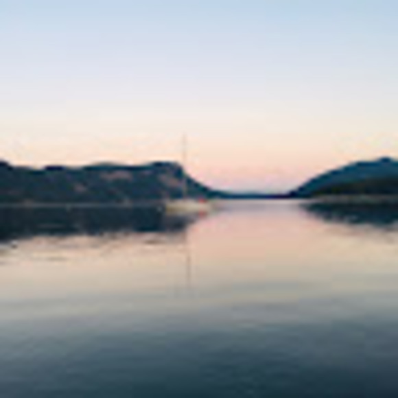 Meet your Posher, Olivia - Picture 1 of 1